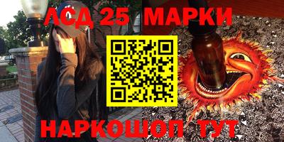 прущие грибы Будённовск