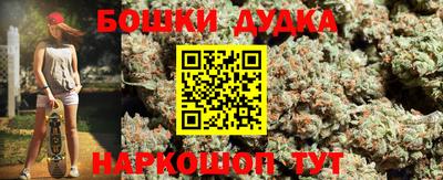 прущие грибы Будённовск
