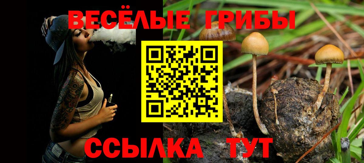 Галлюциногенные грибы мухоморы Протвино
