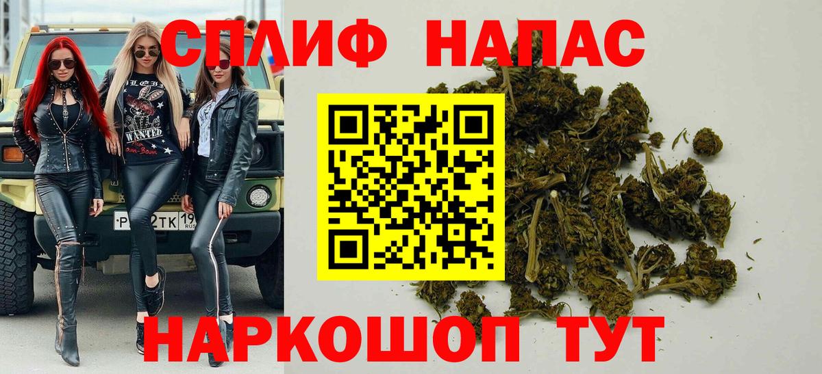 Каннабис сатива Протвино